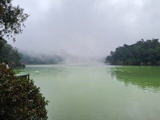 The natural scenery is a green lake surrounded by trees and fog