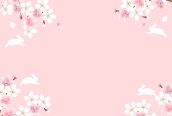 卯　年賀状　桜　背景	