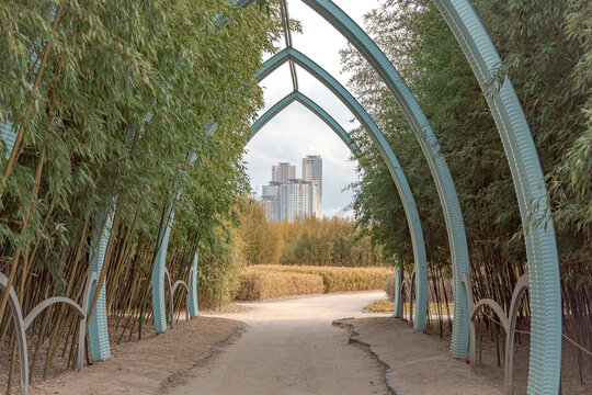 Bamboo forest park, blue arches, and city skyline building view of Ulsan South Korea