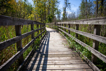 Fototapeta na wymiar A boardwalk along a hiking path in a Provincial Park in Ontario, Canada.