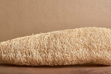 Loofah, biodegradable ecological vegetable sponge. Sustainable lifestyle