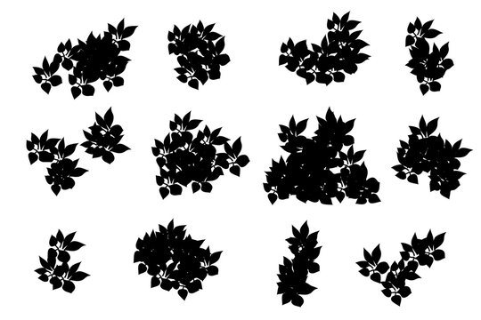 bush silhouette. bush leaves set