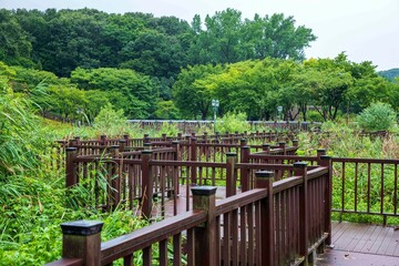 Fototapeta na wymiar 율동공원