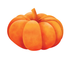 Pumpkin Watercolor.  Isolated on a white background