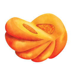 Pumpkin Watercolor.  Isolated on a white background