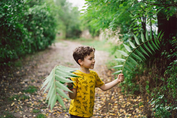 A six-year-old boy runs with green leaves in his hands in the countryside. Happy child boy laughing and playing in the summer day.