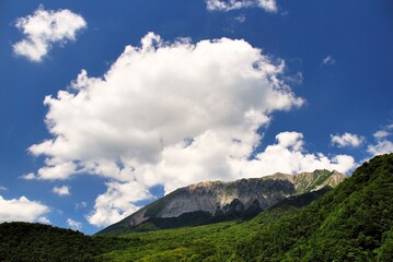 Obraz na płótnie Canvas 鍵掛峠から望む「大山」の夏景色