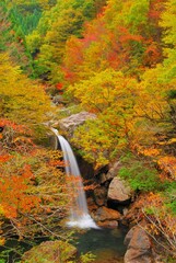 広島県三段峡 魚切滝の紅葉