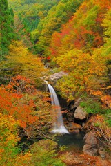 広島県三段峡 魚切滝の紅葉