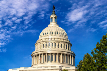 Fototapeta premium The United States Capitol building