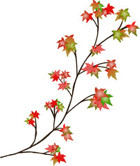 Maple leaf watercolour