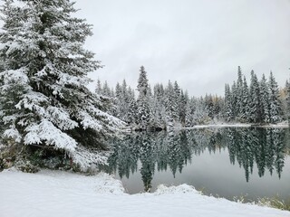 Fototapeta premium lake reflection in winter