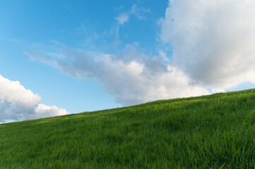 The vast meadow under the blue sky and white clouds