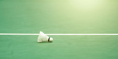 Shuttlecocks badminton White cream color on green floor of indoor badminton court in front of the...