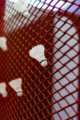 Shuttlecocks were stuck to the badminton steel grill net with a big red drawing of shuttlecock on...