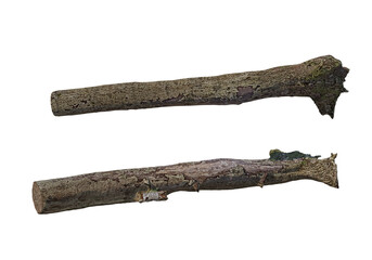 Logs decorate the garden on a transparent background
