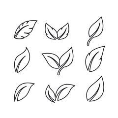 leaf line element  icon vector design template