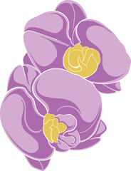 beautiful floral design for elements, editable color