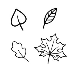 Set of line leaves doodles. Collection of different leaves in outline style. Vector illustration isolated on white background
