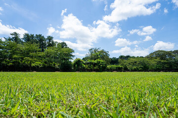 Fototapeta na wymiar Wide open beautiful fields and blue sky