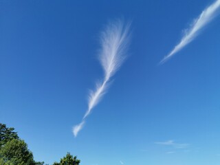 blue sky with clouds, Cirrus uncinus , Federwolke