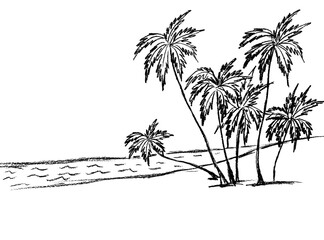 On a white background, a group of palm trees on a black beach