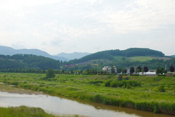 Fototapeta na wymiar Biei river in Biei town, Hokkaido, Japan.