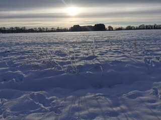 winter landscape with snow
