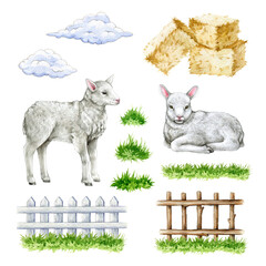 Cute lamb farm set. Hand drawn illustration. Cute little newborn sheep, green grass, fence, hay, clouds. Domestic farm baby animal set. Hand drawn lambs on white background