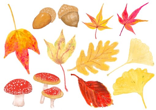 パステル風で秋のイチョウや紅葉やキノコやどんぐりなど秋の素材セット