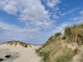 sea dune sun sand grass clouds  sky landscape, ocean,