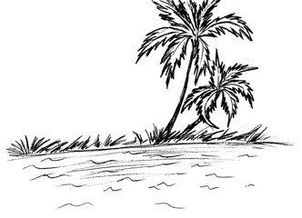  On a white background, a group of palm trees on a black beach