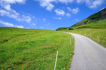 フィルストハイキングコースとお花畑（グリンデルヴァルト）