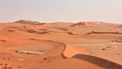 Fototapeta na wymiar The Footprints of Those Climbing Big Daddy Sand Dune, Namib Desert, Namibia