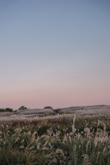 sunset over the region sea