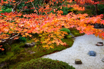 秋の京都・小倉山二尊院で見た、鮮やかなオレンジ色の紅葉が広がる庭園