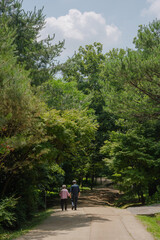 Fototapeta premium walk in the park