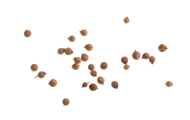 Coriander Seeds Isolated on White