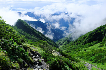 Fototapeta na wymiar 南アルプスの絶景トレイル。日本の雄大な自然。百名山、聖岳