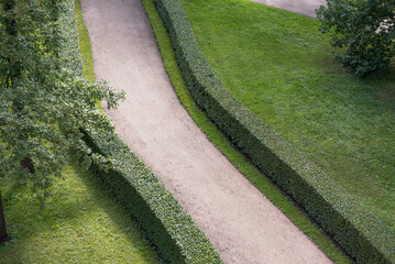 A path in a park with green grass and bushes. View from above. Beautiful landscape and nature.