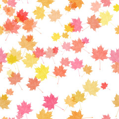 Naklejka na ściany i meble seamless pattern with various maple autumn leaves on white background