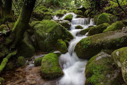 물줄기 Images – Browse 755 Stock Photos, Vectors, and Video | Adobe Stock
