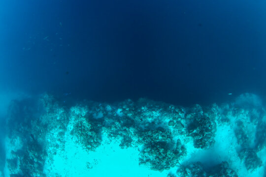 SCUBA diving in belize blue hole