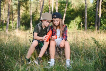 Fototapeta premium kids scouts in the forest.
