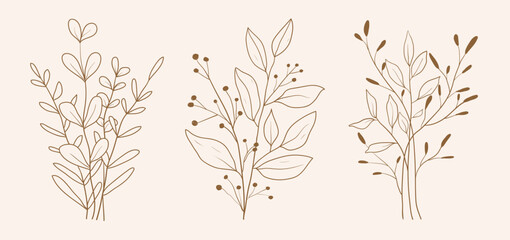 Hand drawn botanical set leaves and flowers for decoration
