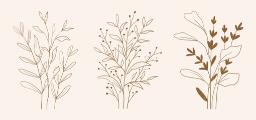 Hand drawn botanical set leaves and flowers for decoration
