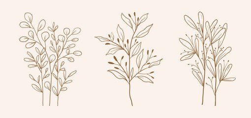 Hand drawn botanical set leaves and flowers for decoration
