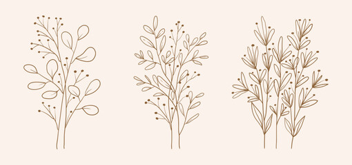 Hand drawn botanical set leaves and flowers for decoration
