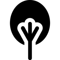Cypress Tree Vector Icon