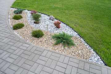 Landscaping in the garden with stones and coniferous bushes of Thuja along a pavement
